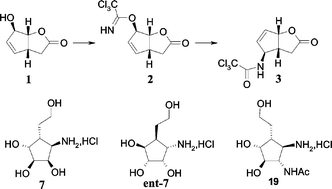 Graphical abstract: Aminocyclopentanols as sugar mimics. Synthesis from unsaturated bicyclic lactones by Overman rearrangement