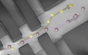 Graphical abstract: Continuous separation of cells by balanced dielectrophoretic forces at multiple frequencies