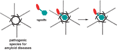 Graphical abstract: Target-selective peptide-cleaving catalysts as a new paradigm in drug design