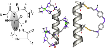 Graphical abstract: Design and synthesis of α-helical peptides and mimetics