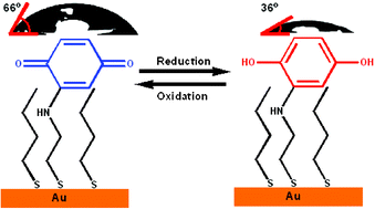 Graphical abstract: Electrochemical control of surface properties using a quinone-functionalized monolayer: effects of donor–acceptor complexes