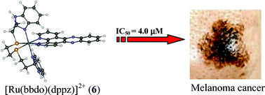 Graphical abstract: Mixed ligand ruthenium(ii) complexes of bis(pyrid-2-yl)-/bis(benzimidazol-2-yl)-dithioether and diimines: Study of non-covalent DNA binding and cytotoxicity