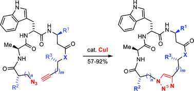 Graphical abstract: Solid-phase based synthesis of jasplakinolide analogs by intramolecular azide–alkyne cycloadditions