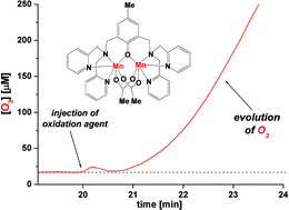 Graphical abstract: Oxygen evolving reactions catalysed by synthetic manganese complexes: A systematic screening