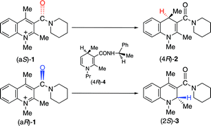 Graphical abstract: Consideration of molecular arrangements in regio- and enantioselective reduction of an NAD model compound controlled by carbonyl oxygen orientation