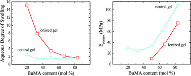 Graphical abstract: Synthesis and characterization of the swelling and mechanical properties of amphiphilic ionizable model co-networks containing n-butyl methacrylate hydrophobic blocks