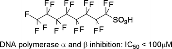 Graphical abstract: Chemical properties of fatty acid derivatives as inhibitors of DNA polymerases