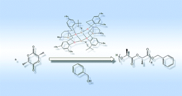 Graphical abstract: Lithium complexes supported by amine bis-phenolate ligands as efficient catalysts for ring-opening polymerization of l-lactide