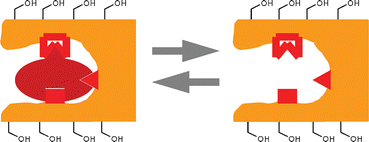 Graphical abstract: Water-compatible molecularly imprinted polymers for efficient direct injection on-line solid-phase extraction of ropivacaine and bupivacaine from human plasma
