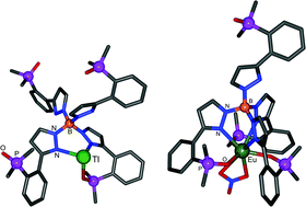 Graphical abstract: A novel tetrakis(pyrazolyl)borate ligand bearing triphenylphosphine oxide substituents