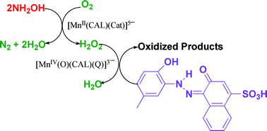 Graphical abstract: Calmagite dye oxidation using in situ generated hydrogen peroxide catalysed by manganese(ii) ions