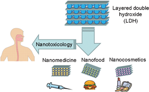 Graphical abstract: Human-related application and nanotoxicology of inorganic particles: complementary aspects