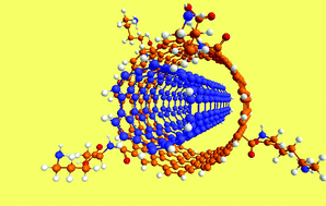 Graphical abstract: Amino acid functionalization of double-wall carbon nanotubes studied by Raman spectroscopy