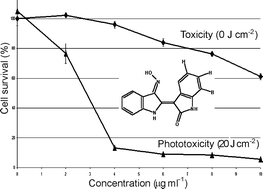 Graphical abstract: Photoreactivity of indirubin derivatives