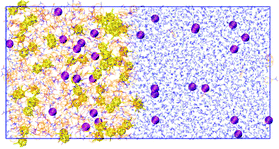 Graphical abstract: Molecular dynamics study of dicarbollide anions in nitrobenzene solution and at its aqueous interface. Synergistic effect in the Eu(iii) assisted extraction