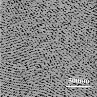 Graphical abstract: Swelling of a cluster phase in Langmuir monolayers containing semi-fluorinated phosphonic acids