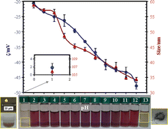 Graphical abstract: SERS detection of environmental pollutants in humic acid–gold nanoparticle composite materials