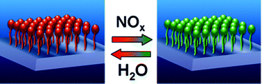 Graphical abstract: Selective NOx optical sensing with surface-confined osmium polypyridyl complexes