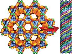 Graphical abstract: A 3D chiral nanoporous coordination framework consisting of homochiral nanotubes assembled from octuple helices