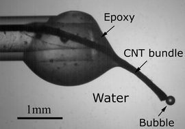 Graphical abstract: Pressure-driven fluidic delivery through carbon tube bundles