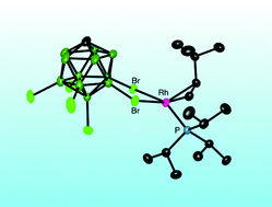 Graphical abstract: Cationic rhodium mono-phosphine fragments partnered with carborane monoanions [closo-CB11H6X6]− (X = H, Br). Synthesis, structures and reactivity with alkenes