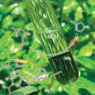 Graphical abstract: Olefin metathesis in ionic liquids