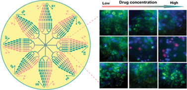 Graphical abstract: Cell-based high content screening using an integrated microfluidic device