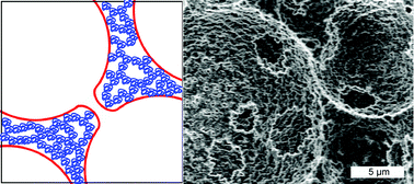 Graphical abstract: Porous poly(2-hydroxyethyl methacrylate) hydrogels synthesized within high internal phase emulsions