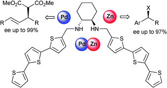 Graphical abstract: New chiral diamino-bis(tert-thiophene): an effective ligand for Pd- and Zn-catalyzed asymmetric transformations