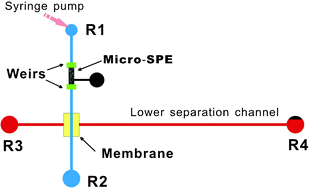 Graphical abstract: Integrated multilayer microfluidic device with a nanoporous membrane interconnect for online coupling of solid-phase extraction to microchip electrophoresis