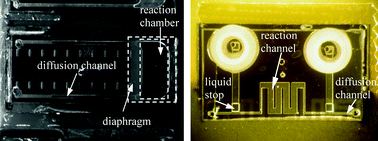 Graphical abstract: Microfabricated valveless devices for thermal bioreactions based on diffusion-limited evaporation