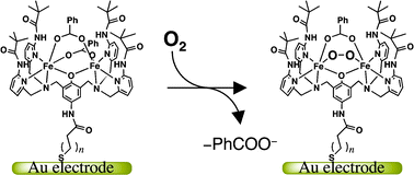 Graphical abstract: Self-assembled monolayer electrode of a diiron complex with a phenoxo-based dinucleating ligand: observation of molecular oxygen adsorption/desorption in aqueous media