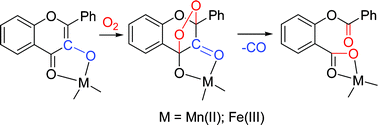 Graphical abstract: Manganese and iron flavonolates as flavonol 2,4-dioxygenase mimics