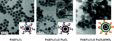 Graphical abstract: Surface protected and modified iron based core-shell nanoparticles for biological applications