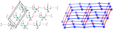 Graphical abstract: Steric control of 4-connected network topology in hydrogen bonded coordination polymers