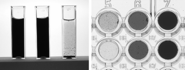 Graphical abstract: High-throughput screening of polymeric dispersants to accelerate the development of stable pigment dispersions