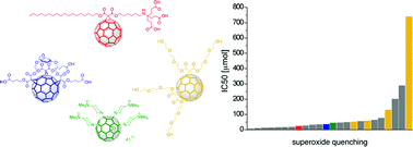 Graphical abstract: Water solubility, antioxidant activity and cytochrome C binding of four families of exohedral adducts of C60 and C70