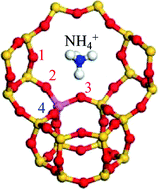 Graphical abstract: Ammonia IRMS-TPD measurements and DFT calculation on acidic hydroxyl groups in CHA-type zeolites