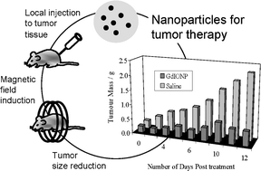 Graphical abstract: Gd-doped iron-oxide nanoparticles for tumour therapy via magnetic field hyperthermia