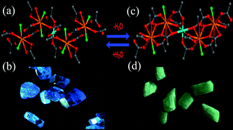 Graphical abstract: Porous lanthanide–copper coordination frameworks exhibiting reversible single-crystal-to-single-crystal transformation based on variable coordination number and geometry