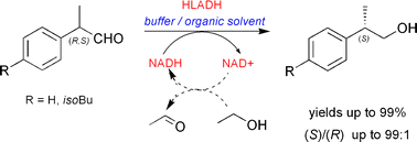 Graphical abstract: Highly efficient asymmetric reduction of arylpropionic aldehydes by Horse Liver Alcohol Dehydrogenase through dynamic kinetic resolution