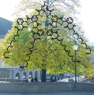 Graphical abstract: The quest for secondary structure in chiral dendrimers