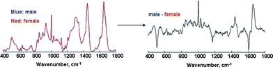 Graphical abstract: A novel method for human gender classification using Raman spectroscopy of fingernail clippings