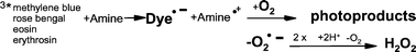 Graphical abstract: Oxygen uptake induced by electron transfer from donors to the triplet state of methylene blue and xanthene dyes in air-saturated aqueous solution