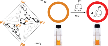 Graphical abstract: Ru(ii)-cornered coordination cage that senses guest inclusion by color change