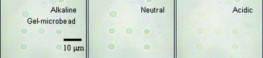 Graphical abstract: On-chip pH measurement using functionalized gel-microbeads positioned by optical tweezers
