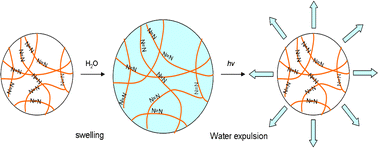 Graphical abstract: Photochromic superabsorbent polymers1