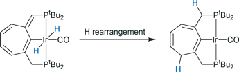 Graphical abstract: Prototropic rearrangements in cycloheptatrienyl PCP pincer iridium complexes
