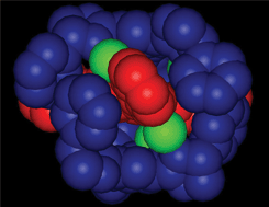 Graphical abstract: A hamburger-shaped helical stacking of disk-shaped ligands mediated by silver(ii) ions