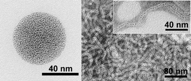 Graphical abstract: Aqueous self-assembly of amphiphilic nanocrystallo-polymers and their surface-active properties